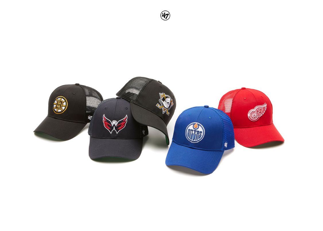 NHL -Lippikset